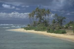 Molokai - Murpheys Beach